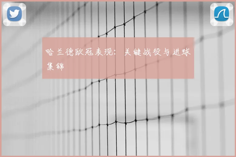 哈兰德欧冠表现:关键战役与进球集锦